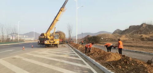枣庄新城市政建设施工忙